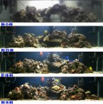 tank_progression.jpg