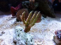 20060814_0100 copy.jpg