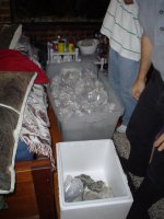 DSC01515.1.jpg