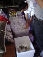 DSC01517.1.jpg