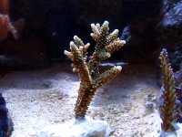 20060814_0103 copy.jpg