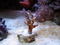 20060814_0119 copy.jpg