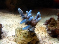 20060814_0125 copy.jpg