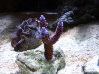 20060814_0135 copy.jpg