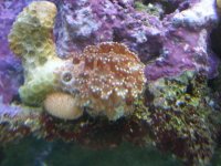 DSCN3114.jpg