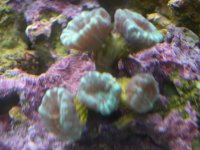 DSCN3116.jpg