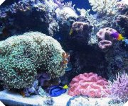 FTS March 2 2006 daylights cropped.jpg