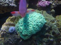 DSCF6037.JPG