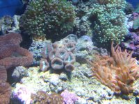 DSCF6038.JPG