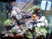 DSCF0654.JPG