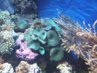 DSCF6039.JPG