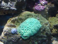 DSCF6041.JPG