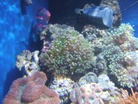 DSCF6043.JPG