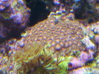 100_0565.jpg
