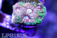 IMG_8290.JPG
