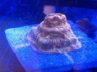 IMG_20140429_142048.jpg