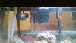 20150319_003306.jpg