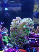 IMG_0593.jpg