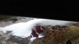 20150319_004040.jpg