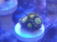20140926_134513.jpg