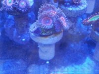 20140926_134628.jpg