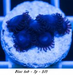 blue tub.jpg