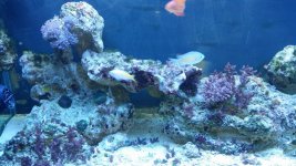 20140805_114057.jpg