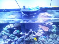 20141102_103748.jpg