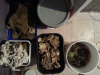 20150202_174757 Rocks and Crushed Coral 1024.jpg