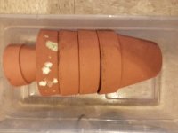 20150202_174524 Clay Pots 1024.jpg