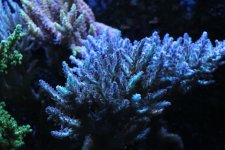 IMG_4951.JPG