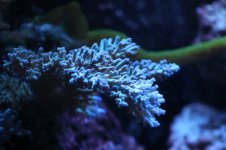 IMG_4957.jpg