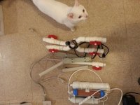 20150203_121418 Wave Motion, Surge Protector, RODI, NO CAT.jpg