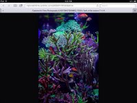 ImageUploadedByTapatalk1415024541.470389.jpg