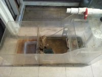 20150203_154030 Wetl Dry Box 3ft.jpg