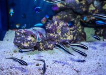 IMG_1440.jpg