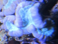 IMG_2189.jpg