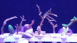 20141103_212927.jpg