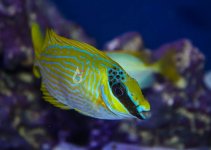 IMG_1470.jpg