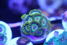IMG_6664.JPG