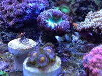 IMG_0443.jpg