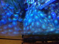 IMG_0635.jpg