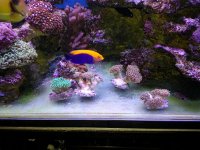 Cgosms_2014-05-3004-55-30.jpg