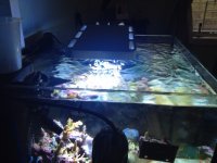 Elos Light1.jpg