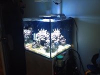 Elos Light2.jpg