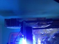 ImageUploadedByReefs2014-06-21 10:06:32 EDT.jpg