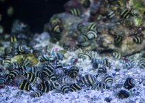 IMG_1583.jpg