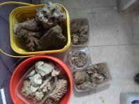 Display Rocks and rubbles.jpg