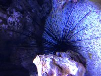 IMG_2616.jpg