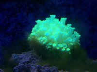 IMG_2619.jpg